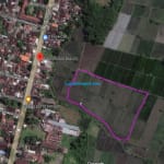 Tanah kebun hampir 1 hektar di Tempeh Lumajang